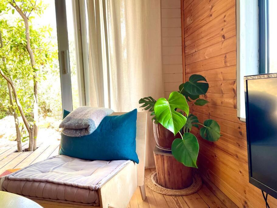Solara Cabin Amirim Exterior photo
